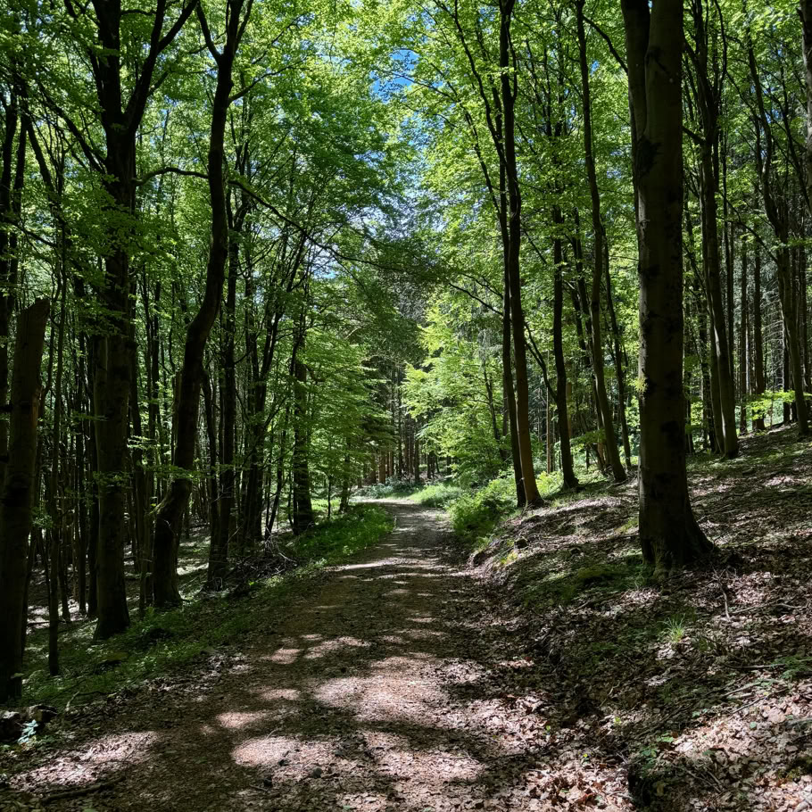 Kostenloses Stock Foto zu aktivität, ausbildung, ausdruck