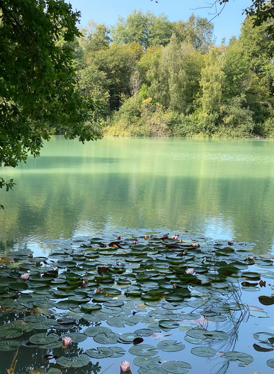 Gruppe Von Frauen, Die Auf Yogamatte Unter Blauem Himmel Liegen
